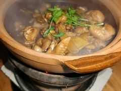 招牌鸡煲-雄伟美食(高沙中街店)