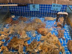 -小时候焗海鲜(鄞州万达店)