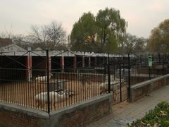-保定市动物园