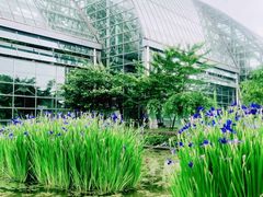 -南山植物园