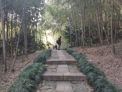 -杭州半山国家森林公园