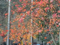 -皇子派对(同泰时代广场店)