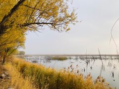 -野鸭湖国家湿地公园