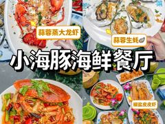 -亚龙湾热带天堂森林公园
