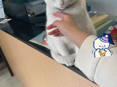 -雨林宠物医院 非犬猫异宠专科