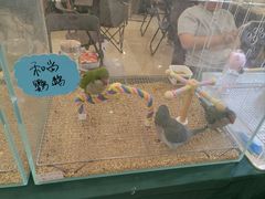 -万达广场(宝山店)