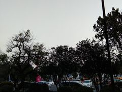 -广州增城保利郡雅酒店-月色西餐厅