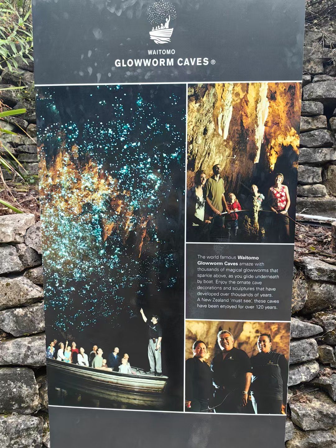 新西兰北岛必打卡--怀托摩萤火虫洞