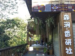 -西双版纳原始森林公园