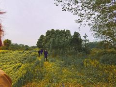 -中国天府农业博览园