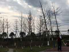 -白鹭湾湿地公园