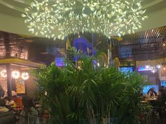 -润园四季椰子鸡火锅(海上世界店)