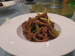 -丁老爷子苏香圆