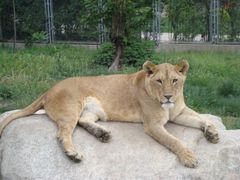 -西安秦岭野生动物园