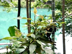 -仙店农庄(湖景农庄餐厅)
