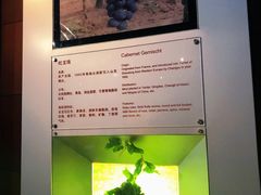 -龙谕酒庄