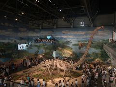 -自贡恐龙博物馆