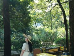 -东南花都花博园