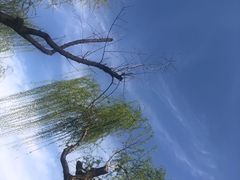 -黄兴公园