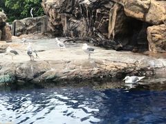 -珠海长隆海洋王国