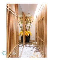 -一本X目奈子日式单根美睫专业店