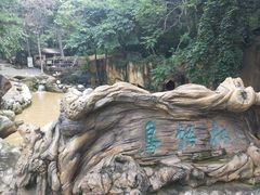 -燕塞湖鸟语林景区