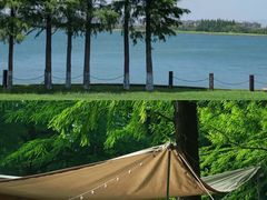 -上海佘山国家森林公园天马山园