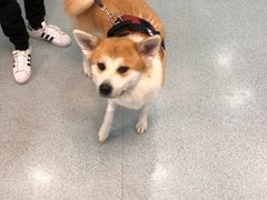 -宠颐生维康宠物医院(金丰店)