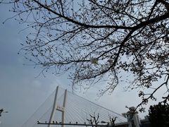 -上海南浦大桥长途旅游客运站