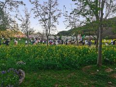 -苏州上方山国家森林公园