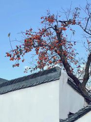 -Dr.林醫生产后修复·超级店(南京江宁同曦店)