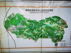 -磬锤峰森林公园
