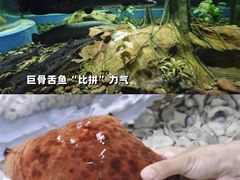 -广州海洋馆
