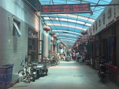 -中环花鸟鱼虫市场