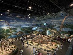 -自贡恐龙博物馆