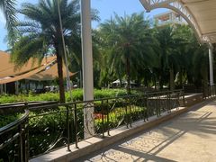 -三亚海棠湾喜来登度假酒店