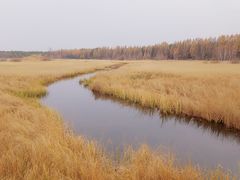-塞罕坝国家级自然保护区