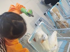 -怪兽屋·羊驼·猫咖·狗咖(俊华广场店)