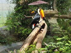 -济南野生动物世界