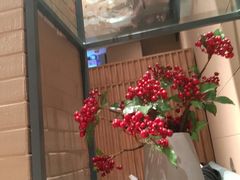 -安天民北方饺子(白石洲店)