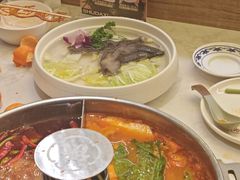 -蜀大侠火锅(总府路店)