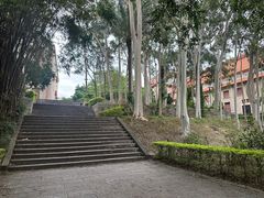 -厦门大学(思明校区)
