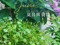 -Jo's Garden