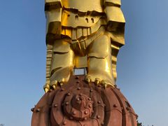 -大金鹰园