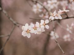 -鬼笑石后山停车场