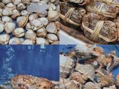 -北塘海鲜·天津菜(大光明桥旗舰店)