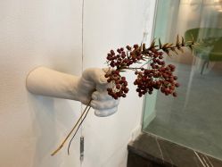 -澜德尔美学中心