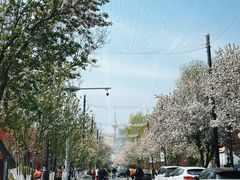 -天津五大道文化旅游区