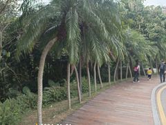 -深圳仙湖植物园