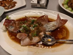 -金茂深圳JW万豪酒店·宴会厅